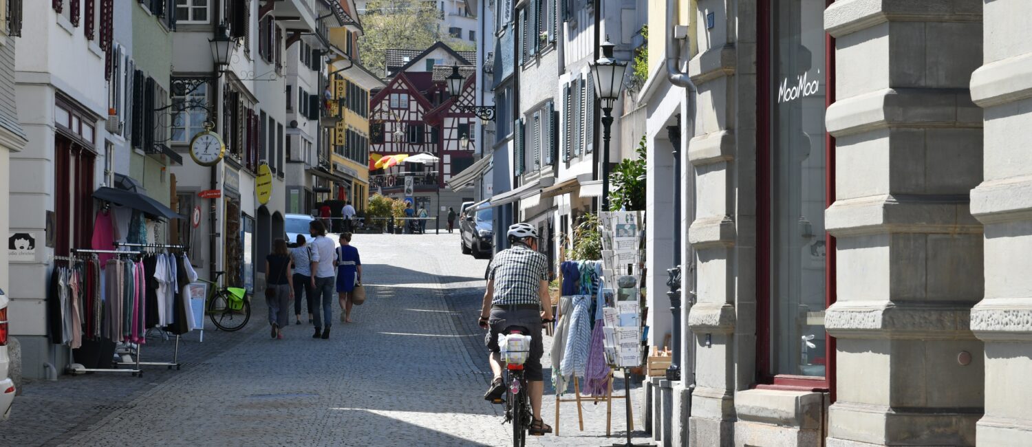 Zürcher Planungsgruppe Zimmerberg