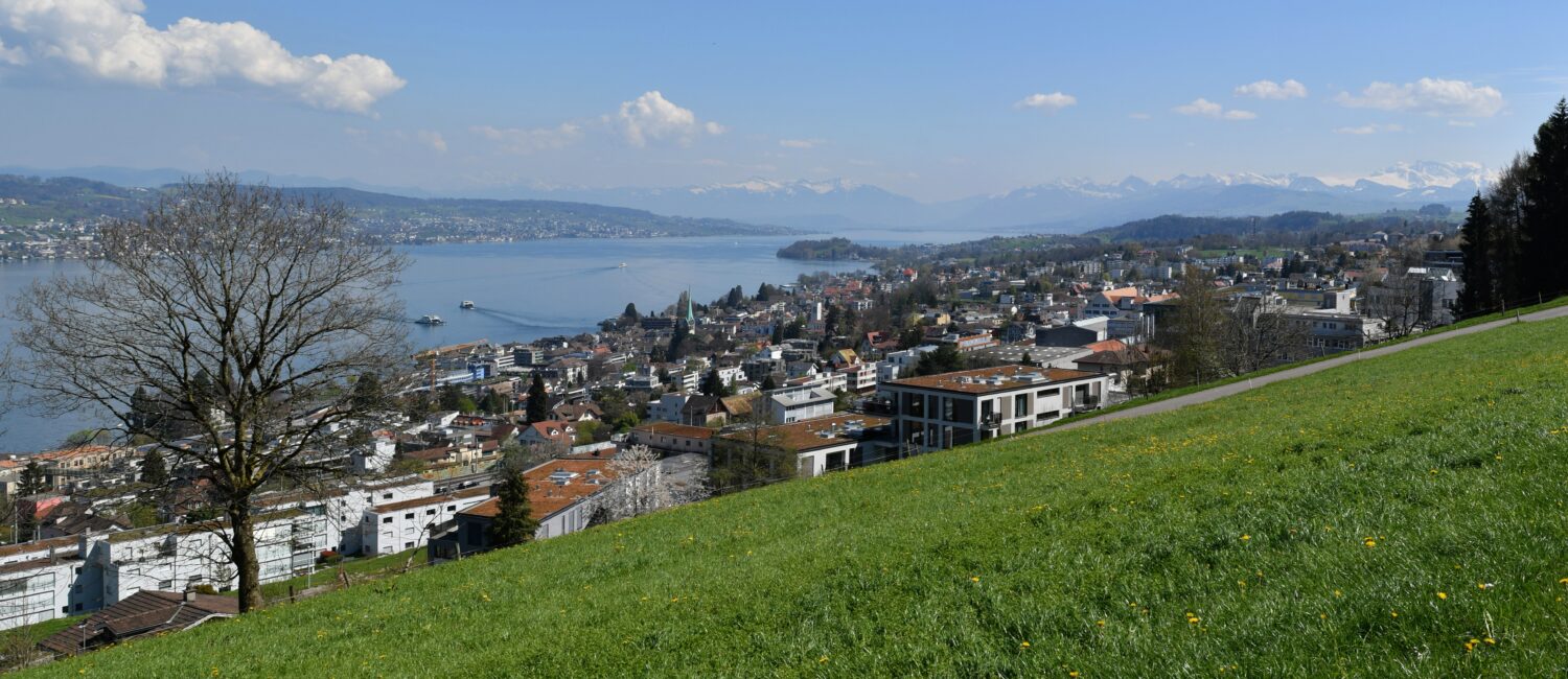 Zürcher Planungsgruppe Zimmerberg