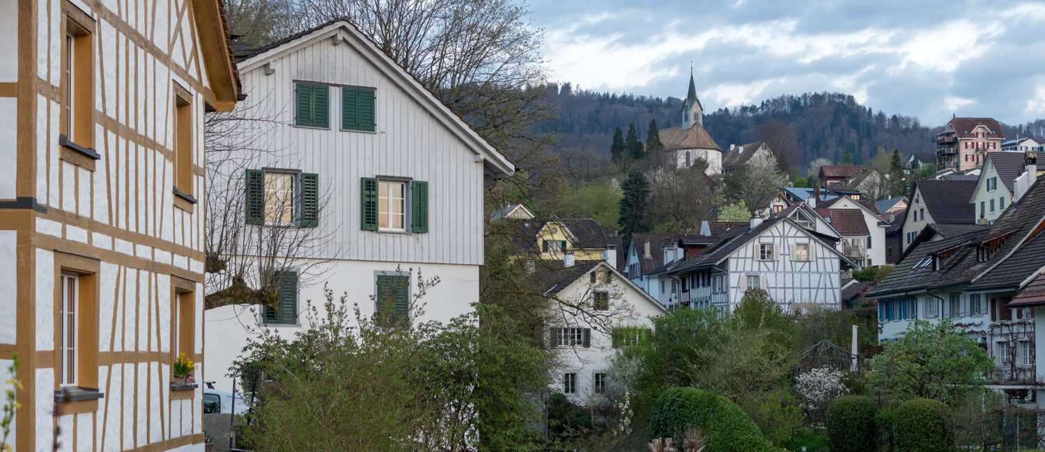 Zürcher Planungsgruppe Zimmerberg