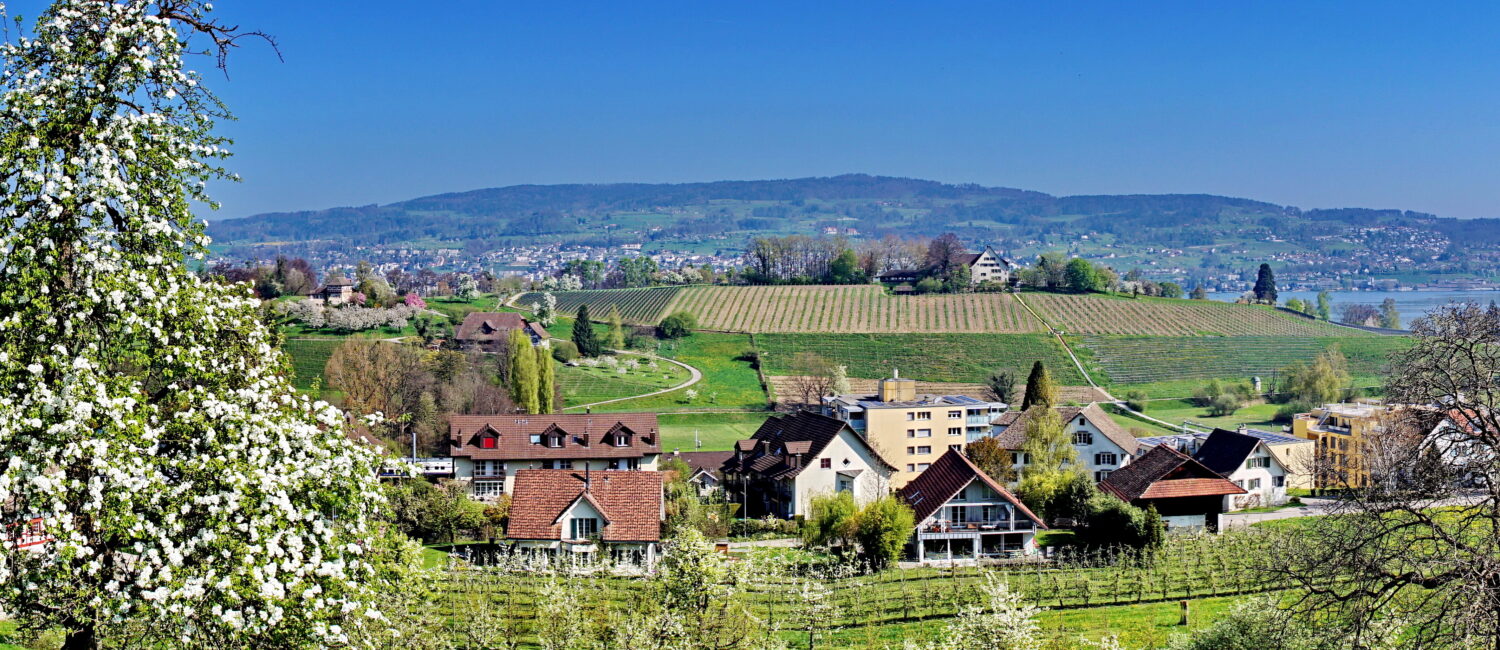 Zürcher Planungsgruppe Zimmerberg