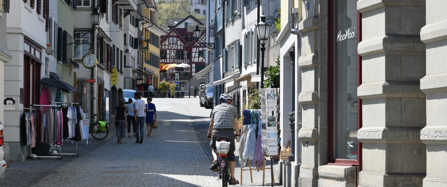 Zürcher Planungsgruppe Zimmerberg